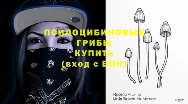 ешки Алзамай