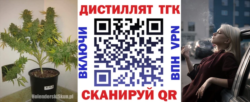 купить наркоту  Западная Двина  Дистиллят ТГК THC oil 