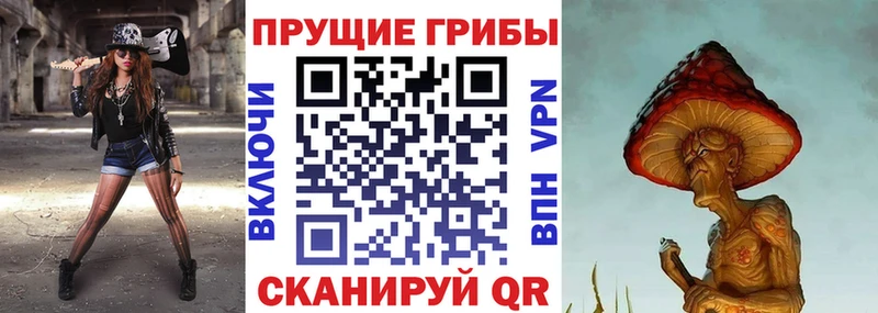 где купить наркотик  Западная Двина  Галлюциногенные грибы мухоморы 